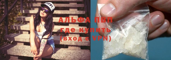 амф Бородино