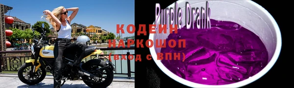 амф Бородино