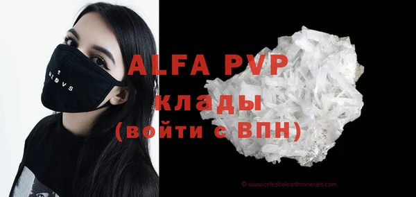 амф Бородино