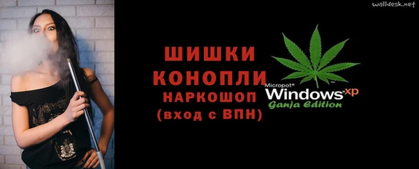 амф Бородино