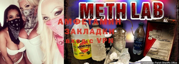 амф Бородино