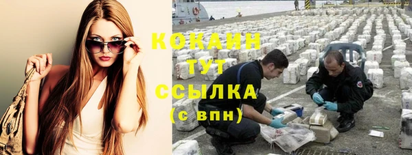 гашик Бронницы