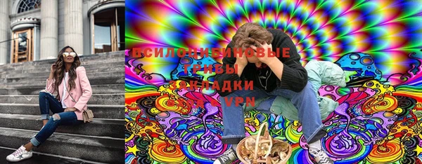 амф Бородино