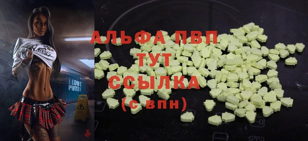 амф Бородино